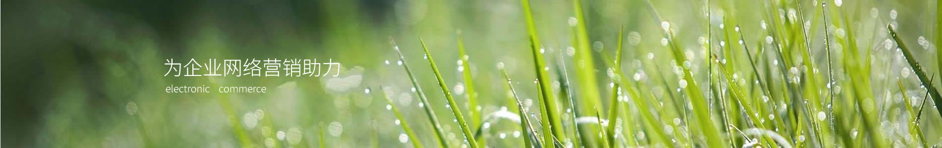 ݰҵƼ޹˾